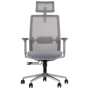 Ergonomiczne obrotowe krzesło biurowe CUTLER GF szary - pełen zakres regulacji, stelaż w kolorze szarym